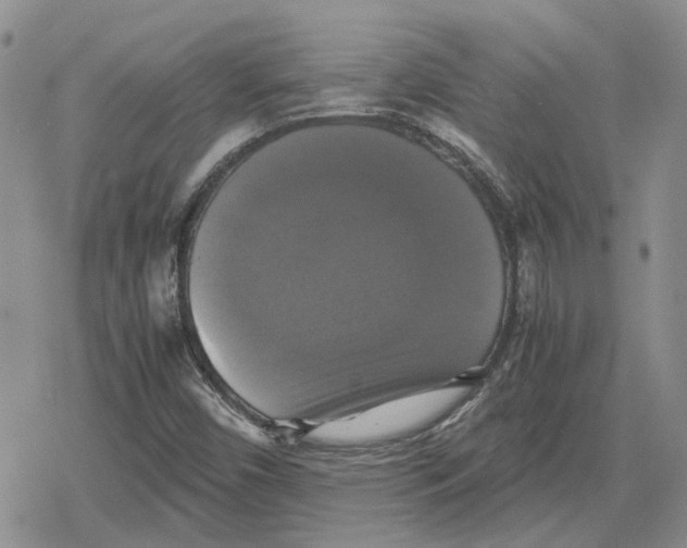 X0000079321450200612151805