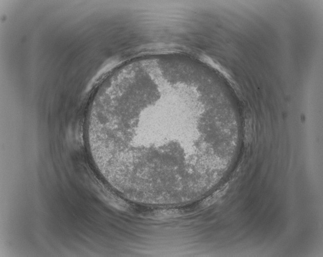 X0000079321451200612151805