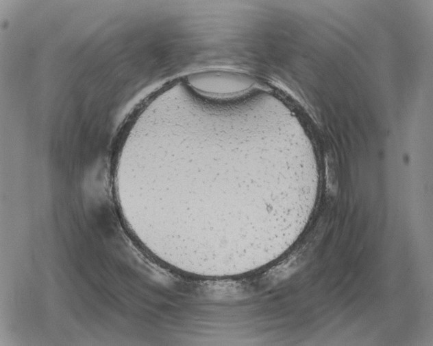 X0000079321452200612151805