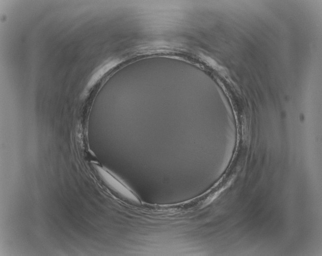 X0000079321453200612151805