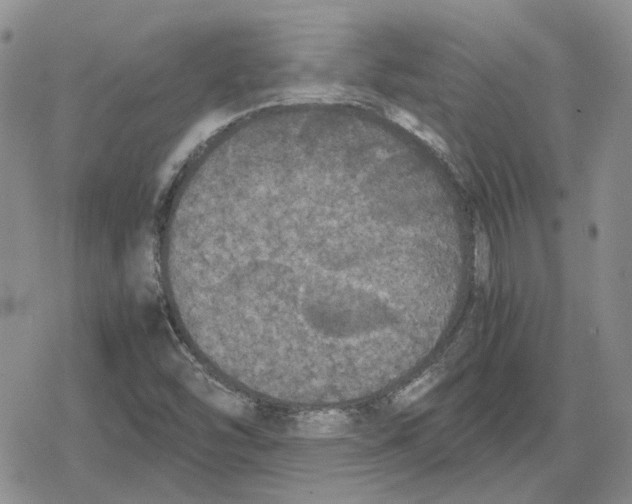 X0000079321454200612151805