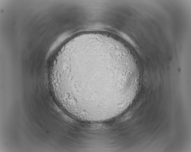 X0000079321456200612151805