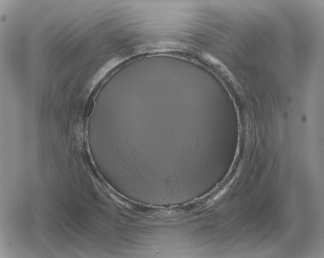 X0000079321457200612151805