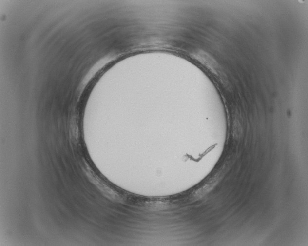 X0000079321458200612151805