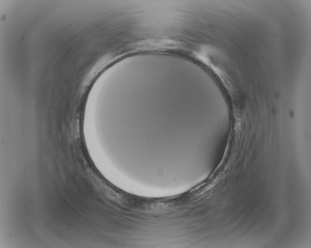 X0000079321459200612151805