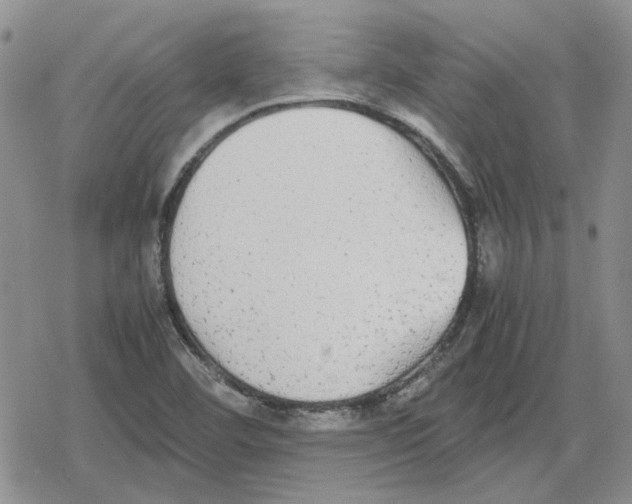 X0000079321460200612151805