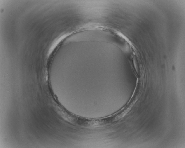 X0000079321461200612151805