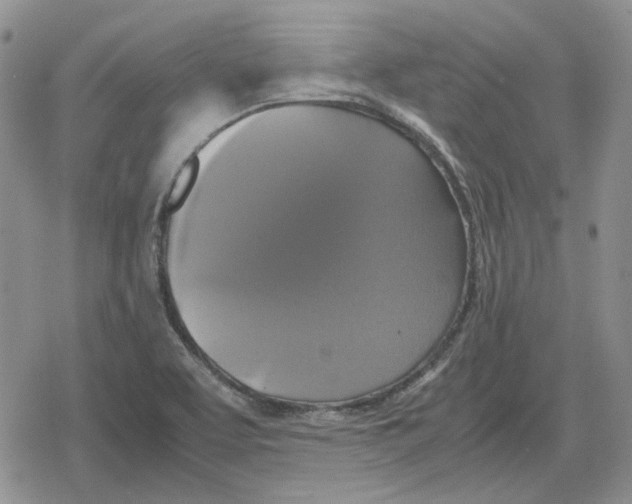 X0000079321463200612151805