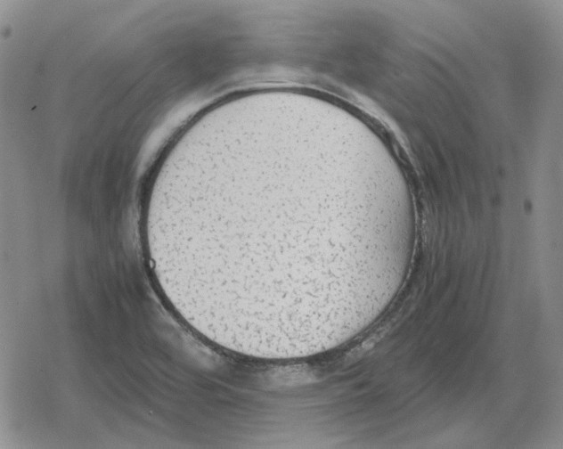 X0000079321464200612151805