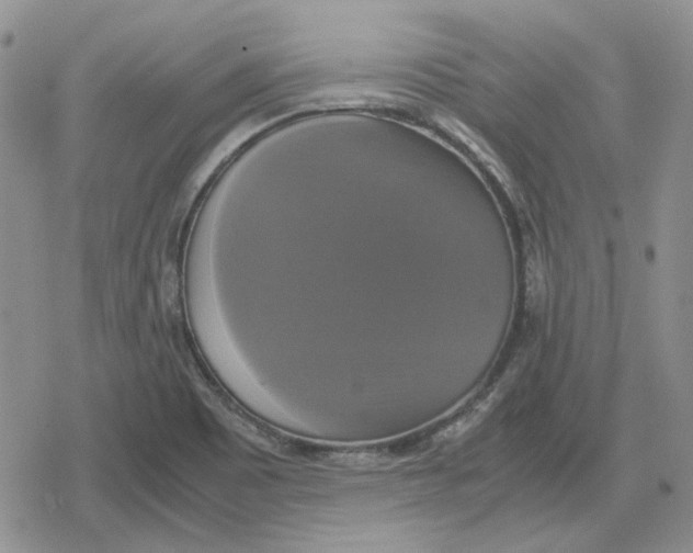 X0000079321465200612151805