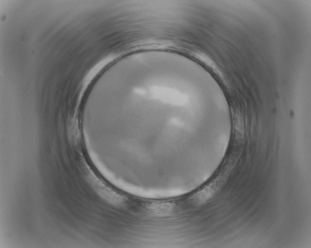 X0000079321466200612151805