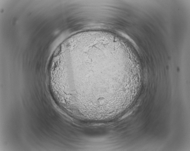 X0000079321467200612151805