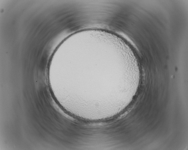 X0000079321468200612151805