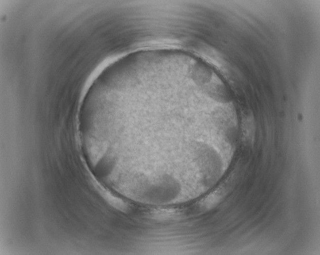 X0000079321470200612151805