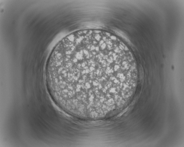 X0000079321471200612151805