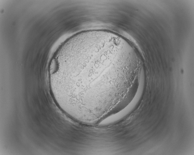 X0000079321472200612151805