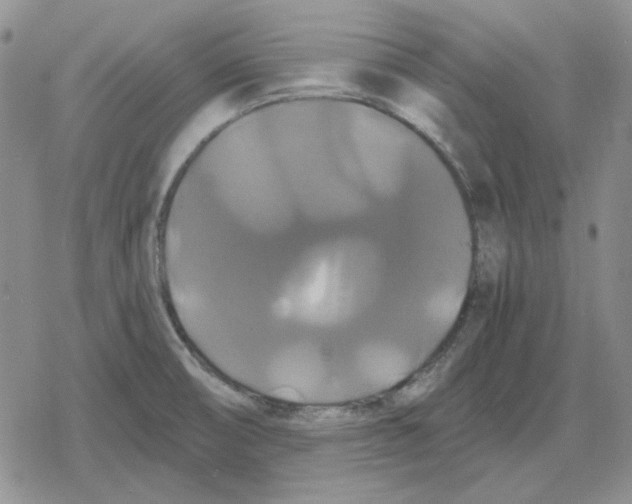 X0000079321474200612151805