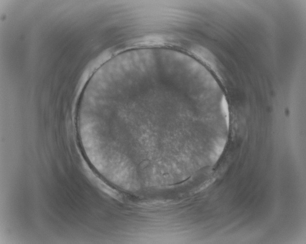 X0000079321475200612151805