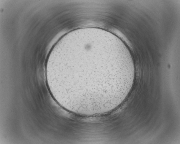 X0000079321476200612151805