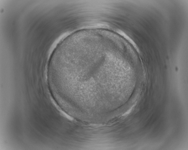 X0000079321477200612151805