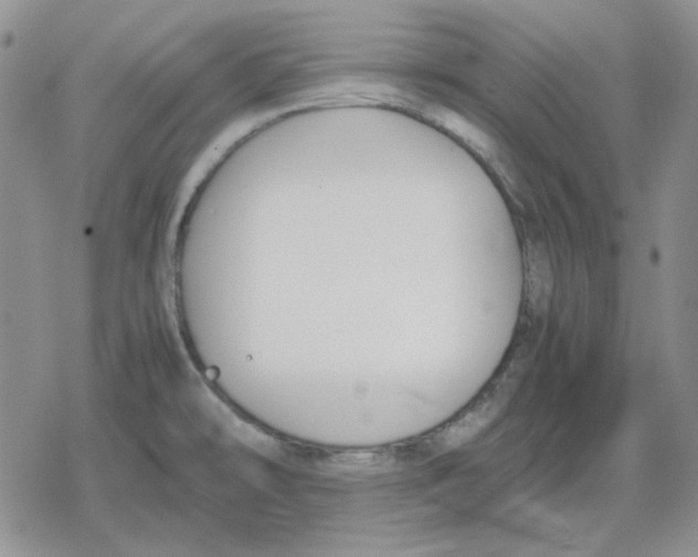 X0000079321478200612151805