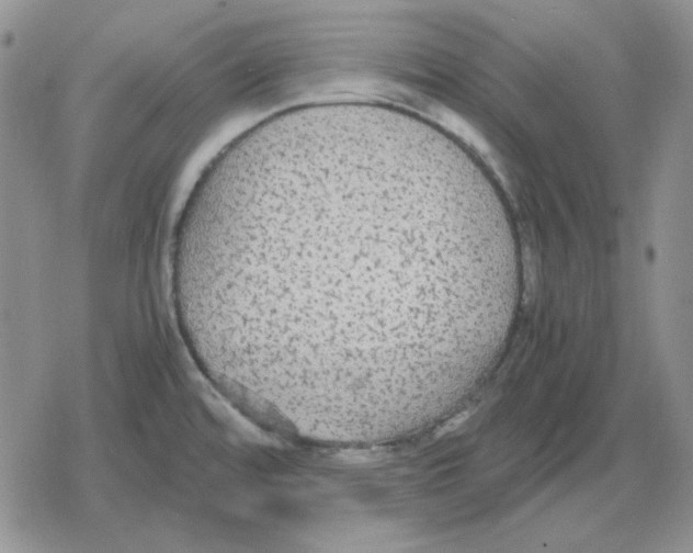 X0000079321480200612151805