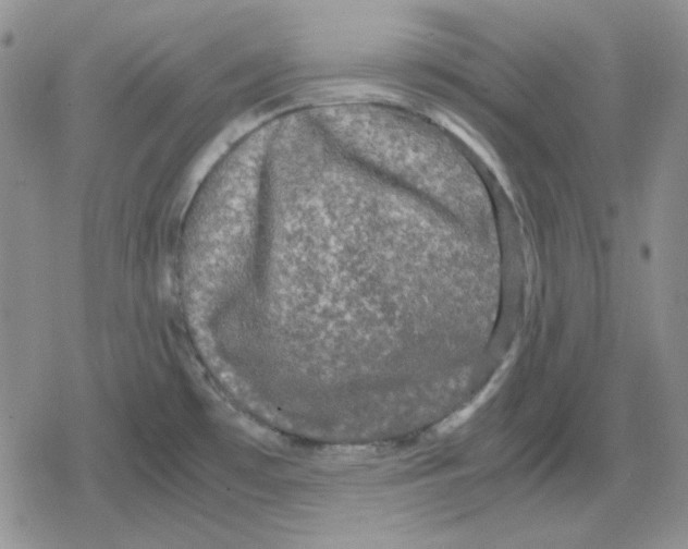 X0000079321481200612151805