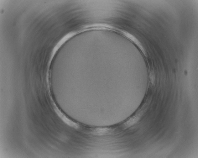 X0000079321482200612151805