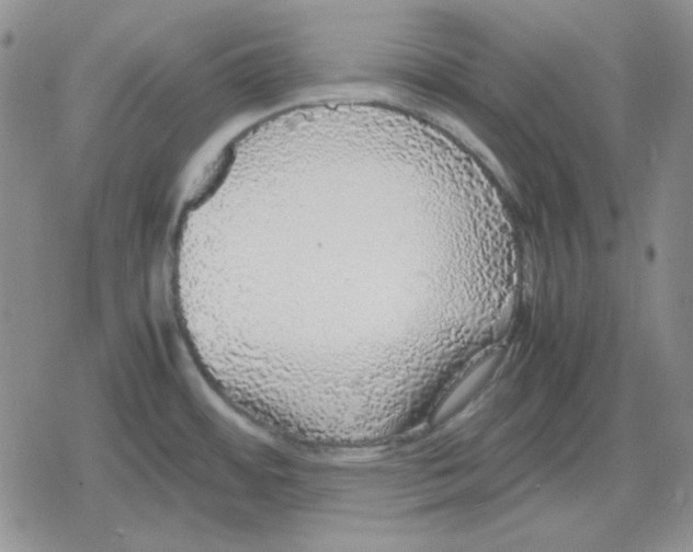 X0000079321484200612151805