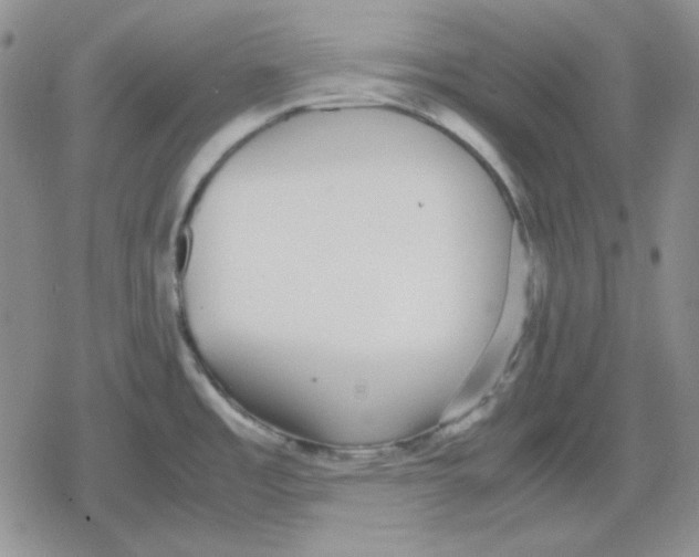 X0000079321485200612151805