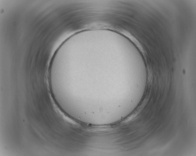 X0000079321486200612151805