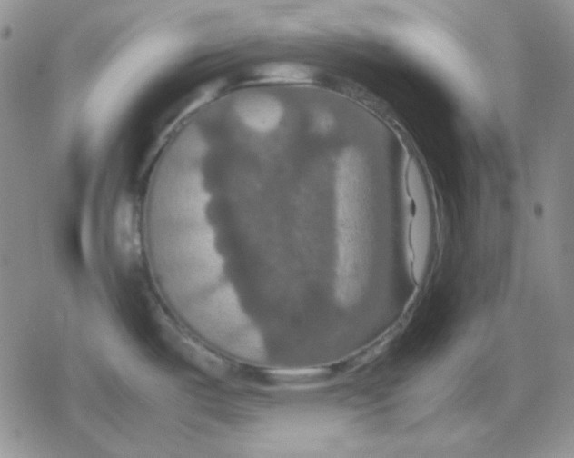 X0000079321487200612151804