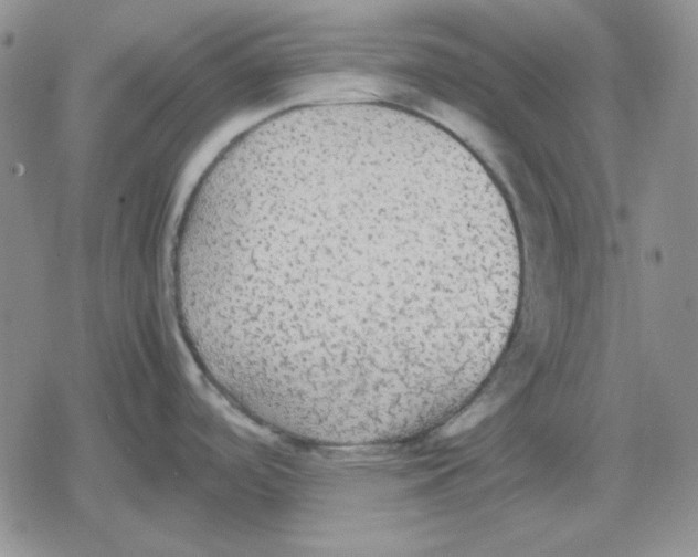 X0000079321488200612151804