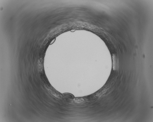 X0000079321491200612151804