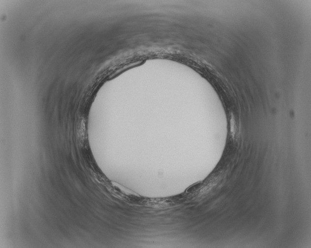 X0000079321492200612151804