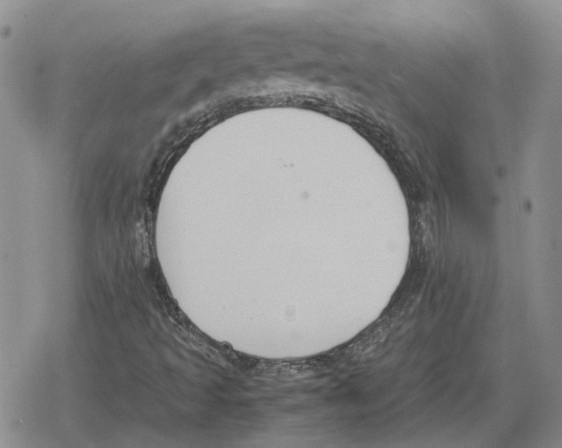 X0000079321493200612151804