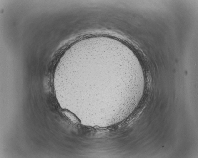 X0000079321494200612151804