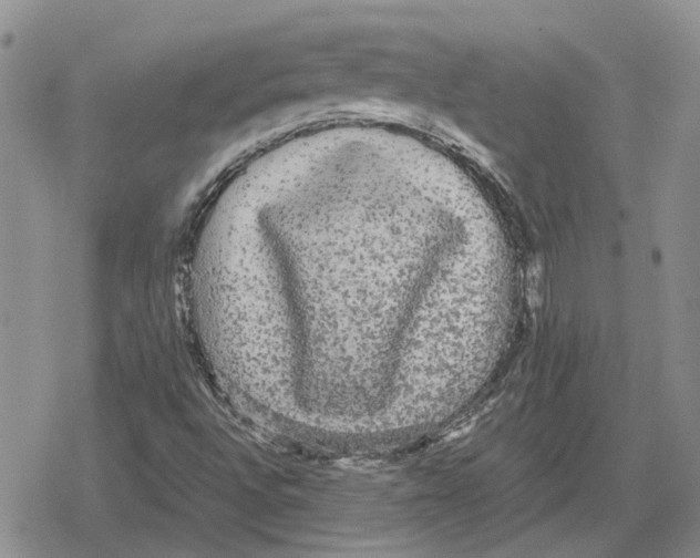 X0000079321496200612151804