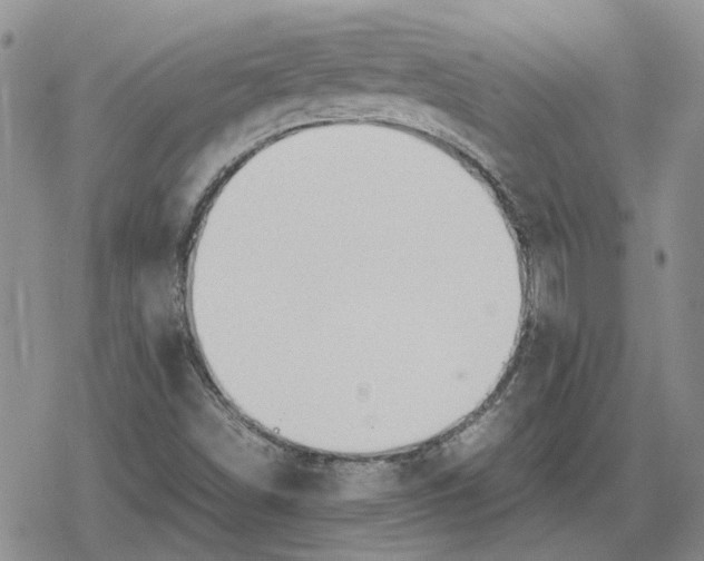 X0000079321498200612151804