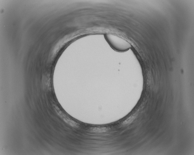 X0000079321499200612151804