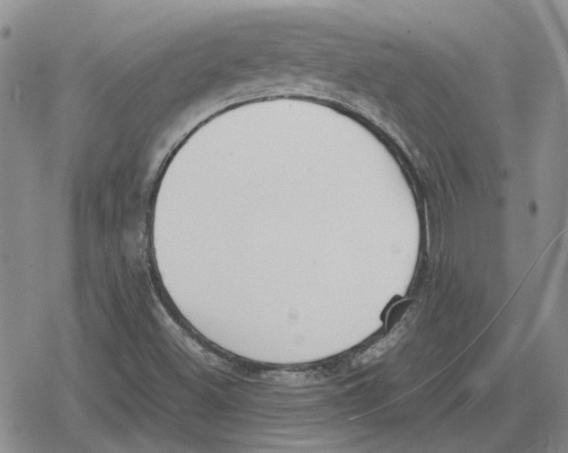 X0000079321500200612151804