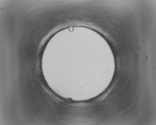 X0000079321502200612151804