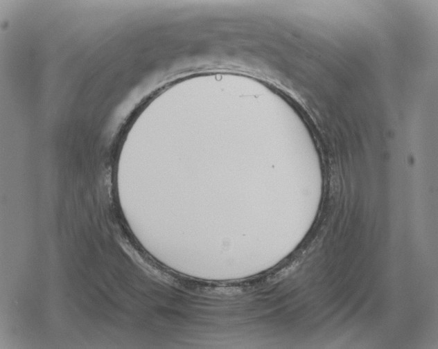 X0000079321503200612151804