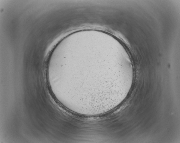 X0000079321504200612151804