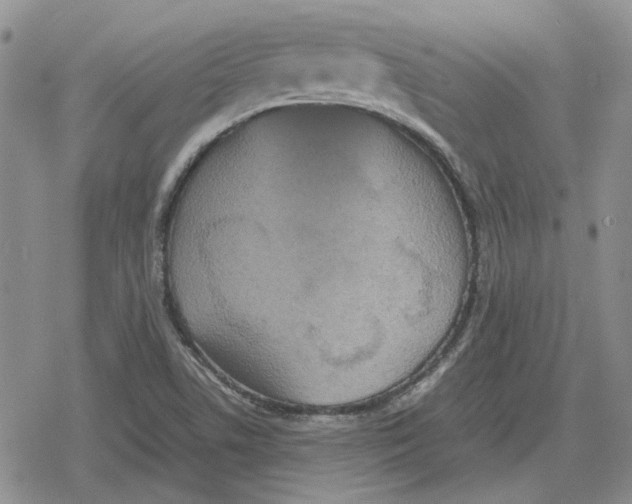 X0000079321506200612151804