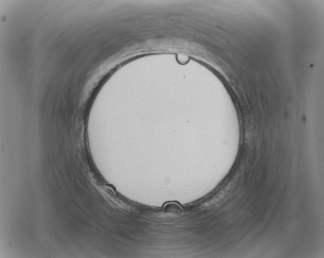 X0000079321507200612151804