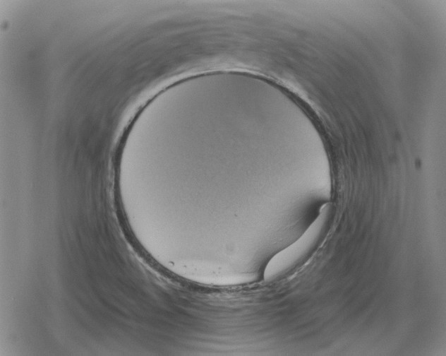 X0000079321508200612151804