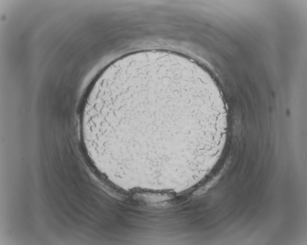 X0000079321509200612151804