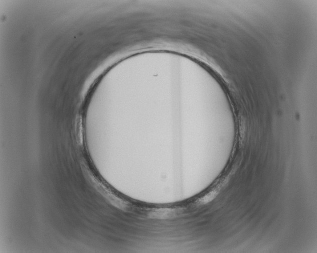 X0000079321510200612151804