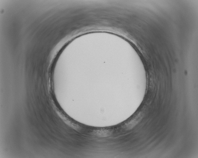 X0000079321511200612151804